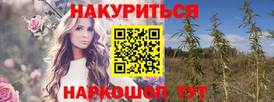 стаф Славгород