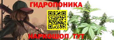 стаф Славгород