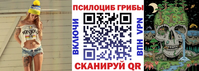наркошоп гидра ТОР Галлюциногенные грибы ЛСД Петропавловск-Камчатский